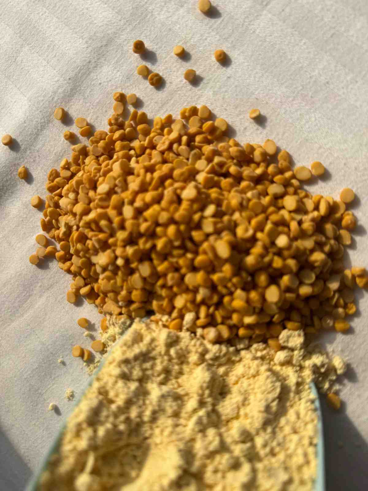 Besan
